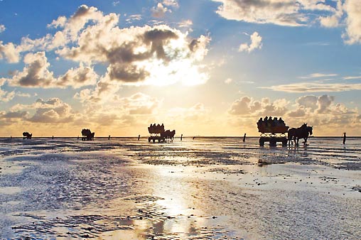Wattenmeer bei Duhnen in Cuxhaven