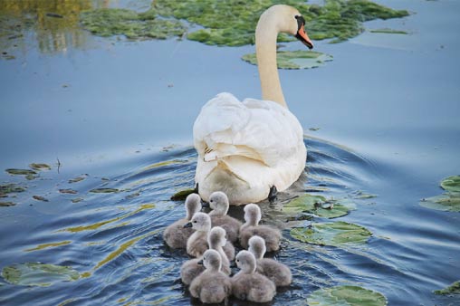 Familie beim Urlaub an der Nordsee in Cuxhaven