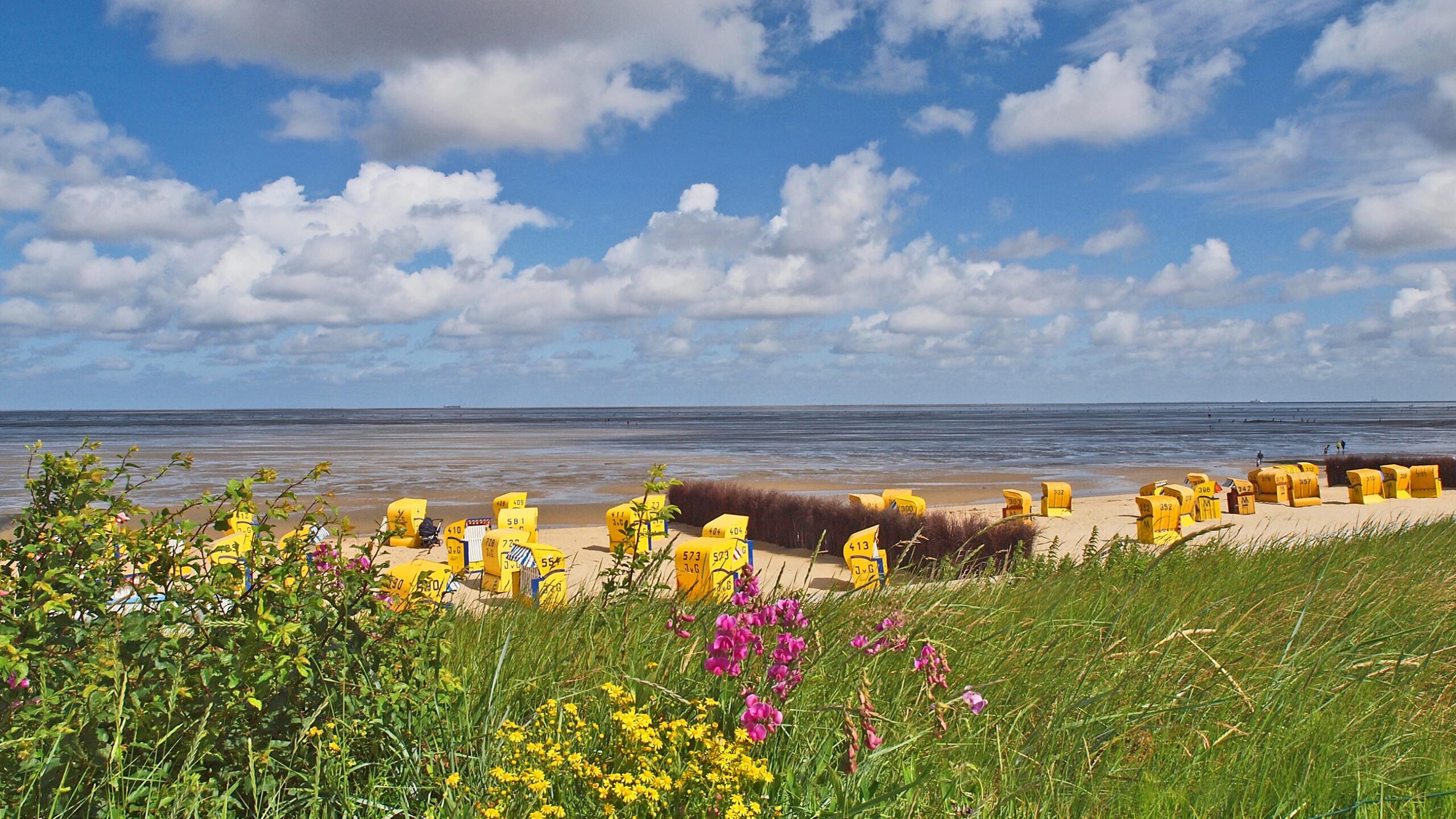 Cuxhaven – Veranstaltungen 2025 | Cux Urlaub