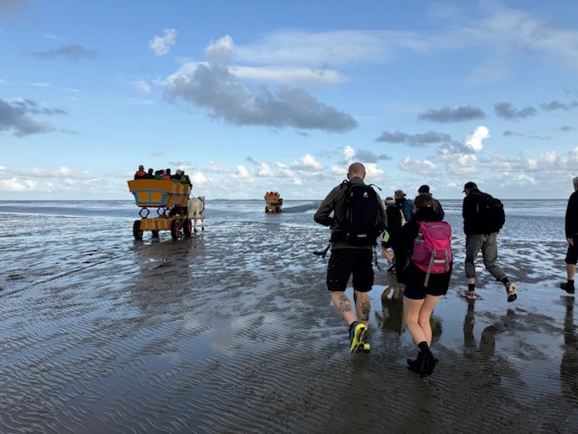 Wattwandern in Cuxhaven Gruppe