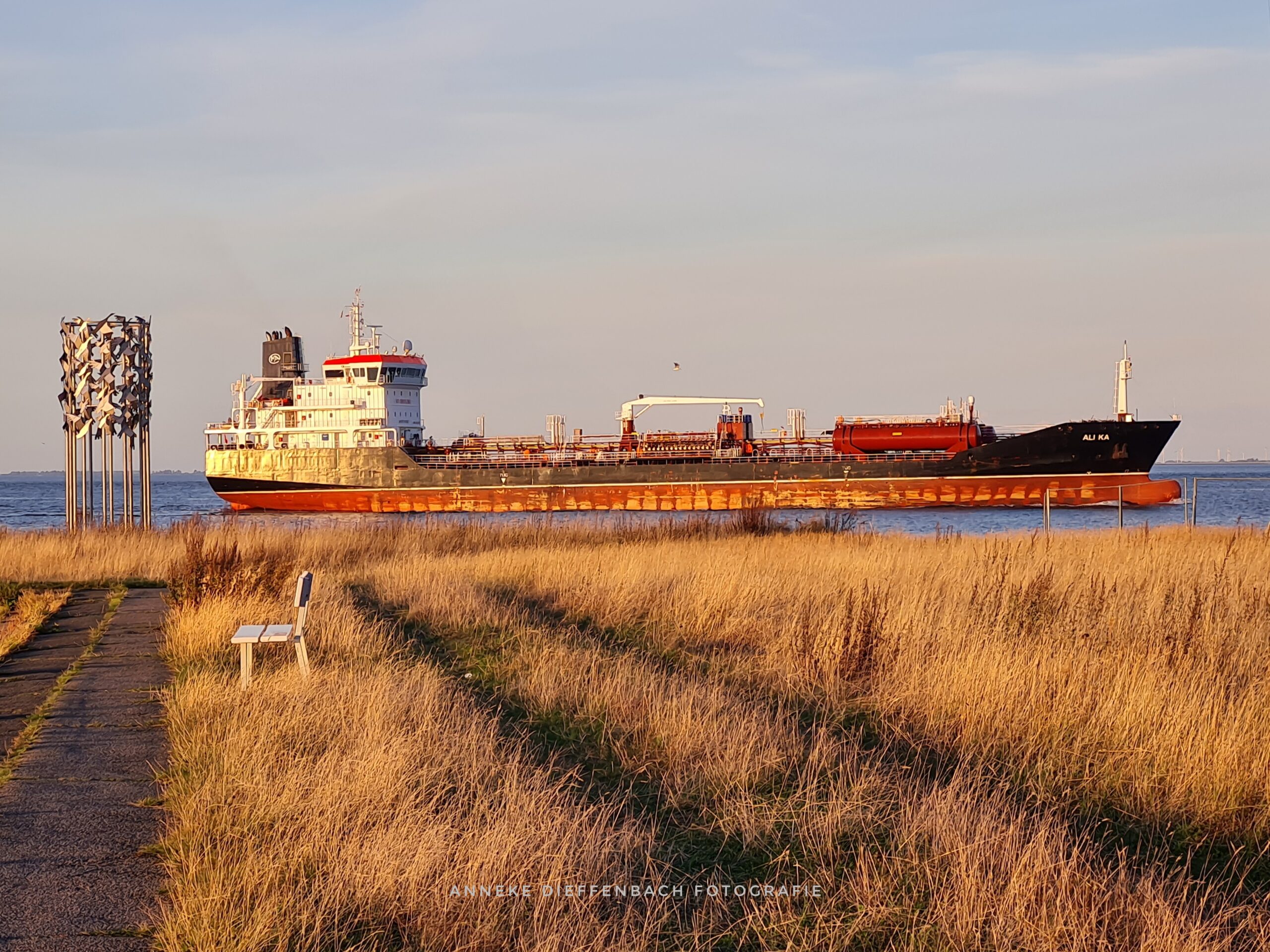 Schiff auf der Elbe vor Cuxhaven im herbstlichen Licht